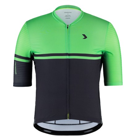 Rapha Pro Team Training Jersey - Men's | REI Co-op